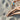 Woman's legs on sandy beach